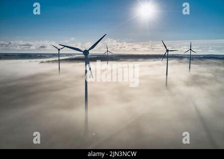 Onshore-Windturbine, die in der Morgensonne im Nebel steht Stockfoto