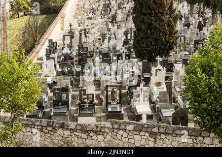 Städtischer Friedhof von San Atilano in Zamora, Spanien mit Blick von oben auf Gräber, Grabsteine und Zypressen. Stockfoto