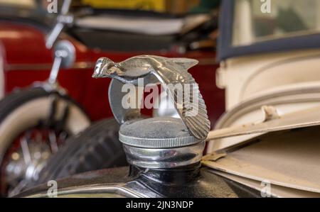 Ketchikan, AK - 10. Juni 2022: Fliegende Wachtel oder Vogel als Haube-Kühlerornament auf Modell A Oldtimer Stockfoto