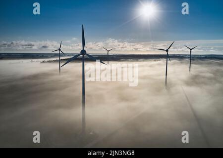 Onshore-Windturbine, die in der Morgensonne im Nebel steht Stockfoto