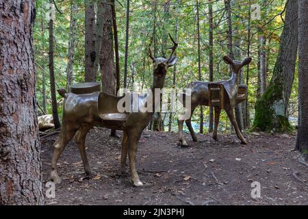 Robert Crams Whitetail Deer, polierte Bronzeskulpturen, sind eine angenehme Überraschung auf dem Bridal Veil Falls Trail in Kagawong, MANITOULIN Island. Stockfoto