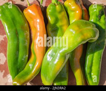 Nahaufnahme von New Mexico Green Chile Peppers. Stockfoto