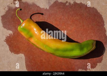 Nahaufnahme von New Mexico Green Chile Peppers. Stockfoto