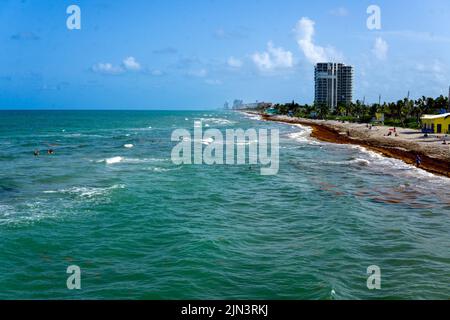 Dania Beach, FL - USA 27. Juli 2022 Landschaftsansicht des Dania Beach Ocean Park am Atlantischen Ozean im Süden Floridas. Stockfoto