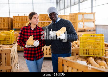 Mann und Frau Bauern reden während des Stapels von Kürbissen Stockfoto