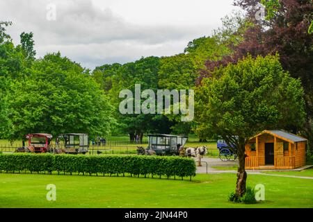 Killarney National Park, Co. Kerry, Irland: Pferde und Karren -- jaunende Autos -- warten auf Passagiere im Muckross House. Stockfoto