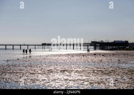 An einem hellen, sonnigen Tag spazieren die Leute bei Ebbe am South End Pleasure Pier am Strand entlang Stockfoto