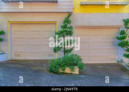 Angebaute Garage von Stadthäusern mit beigefarbenen Garagentoren in der Nähe der Topiarsträucher in San Francisco, CA. Auffahrt von zwei Stadthäusern mit Holzeinfassungen Stockfoto