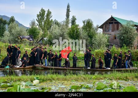 Srinagar, Indien. 08. August 2022. Schiitische Muslime aus Kaschmir rufen während einer Muharram-Prozession im Inneren des Dal-Sees in Srinagar religiöse Parolen auf, während sie auf Booten fahren. Muharram ist ein Monat der Trauer zum Gedenken an das Martyrium von Imam Hussain, dem Enkel des Propheten Muhammad (PBUH). Kredit: SOPA Images Limited/Alamy Live Nachrichten Stockfoto