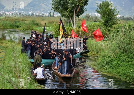 Srinagar, Indien. 08. August 2022. Schiitische Muslime aus Kaschmir rufen während einer Muharram-Prozession im Inneren des Dal-Sees in Srinagar religiöse Parolen auf, während sie auf Booten fahren. Muharram ist ein Monat der Trauer zum Gedenken an das Martyrium von Imam Hussain, dem Enkel des Propheten Muhammad (PBUH). Kredit: SOPA Images Limited/Alamy Live Nachrichten Stockfoto