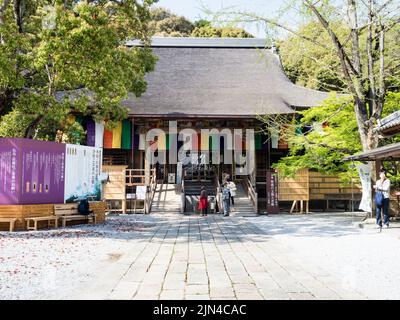 Kochi, Japan - 6. April 2018: Haupthalle von Chikurinji, Tempel Nummer 31 der Shikoku-Wallfahrt Stockfoto