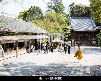 Kochi, Japan - 6. April 2018: Auf dem Gelände von Chikurinji, Tempel Nummer 31 der Shikoku-Wallfahrt Stockfoto