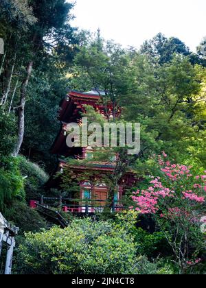 Tosa, Präfektur Kochi, Japan - 7. April 2018: Frühling bei Shoryuji, Tempel Nummer 36 der Shikoku-Wallfahrt Stockfoto