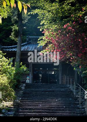 Tosa, Präfektur Kochi, Japan - 7. April 2018: Frühling bei Shoryuji, Tempel Nummer 36 der Shikoku-Wallfahrt Stockfoto