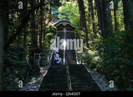 Tosa, Präfektur Kochi, Japan - 7. April 2018: O-henro-Pilger steigen die steile Treppe hinauf, die zur Haupthalle von Shoryuji führt, dem Tempel Nummer 36 von Sh Stockfoto