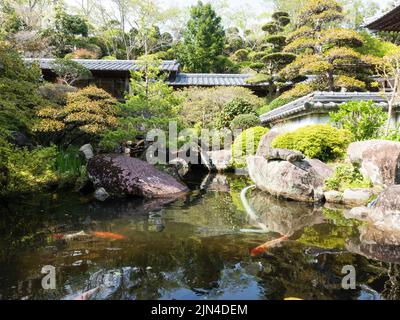 Sukumo, Japan - 8. April 2018: Traditioneller japanischer Garten mit Teich auf dem Gelände von Enkoji, Tempel Nummer 39 der Shikoku-Wallfahrt Stockfoto