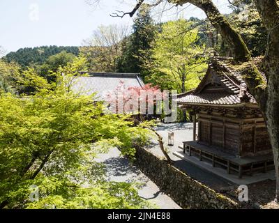 Seiyo, Präfektur Ehime, Japan - 9. April 2018: Frühling bei Meisekiji, Tempel Nummer 43 der Shikoku-Pilgerfahrt Stockfoto