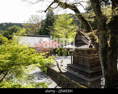 Seiyo, Präfektur Ehime, Japan - 9. April 2018: Frühling bei Meisekiji, Tempel Nummer 43 der Shikoku-Pilgerfahrt Stockfoto