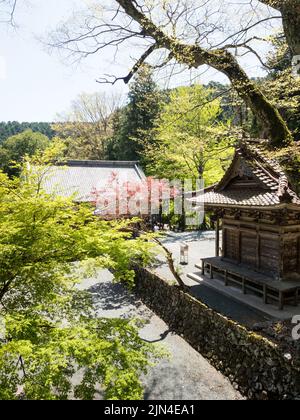 Seiyo, Präfektur Ehime, Japan - 9. April 2018: Frühling bei Meisekiji, Tempel Nummer 43 der Shikoku-Pilgerfahrt Stockfoto