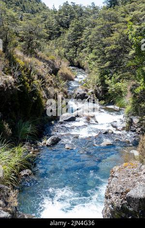 Wunderschöner schneebedeckten Bach im Mount Taranaki Nationalpark, North Island, Neuseeland Stockfoto