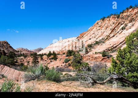 Dramatische Landschaft entlang des Higway 9 auf dem Weg von Zion zum Bryce Canyon National Park - Utah, USA Stockfoto