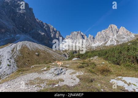 Panorama der Cima Undici und des Berges Croda Rossa di Sesto in der Region Comelico Stockfoto