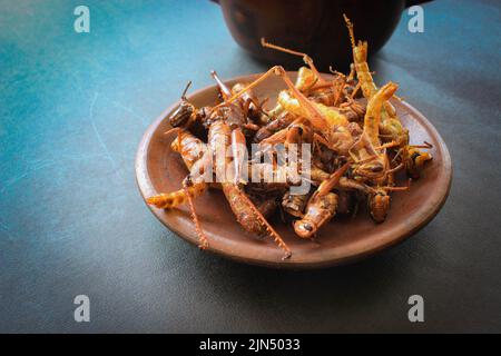 Gebratener Heuschrecke oder Belalang Goreng ist traditionelles Essen aus Südostasien, serviert mit Sambal, Zwiebeln, Knoblauch und Chili auf Holzgrund Stockfoto