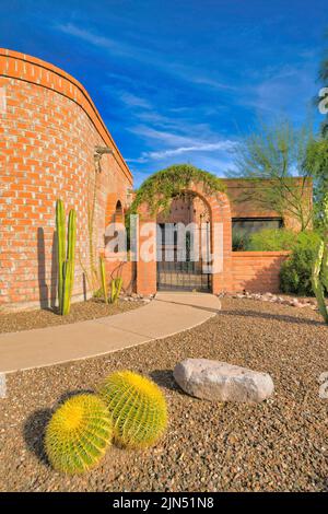 Eingang eines Hauses mit hohlen Ziegelwänden in Tucson, Arizona. Es gibt runde und hohe Kakteen in der Nähe des Betonweges an der Vorderseite, die zum Th führt Stockfoto