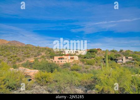 Große Häuser in einem Berggebiet mit Kakteen in Tucson, Arizona. Es gibt saguaro Kakteen, die ein Viertel gegen den Himmel umgeben. Stockfoto