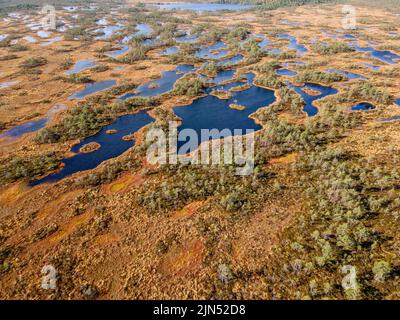 Sumpf, Moor und Seen im estnischen Naturschutzgebiet Kakerdaja. Drohnenansicht Stockfoto