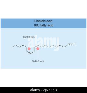 Linolsäure (18 Kohlenstofffettsäure) chemische Struktur auf blauem Hintergrund - cis-Doppelkohlenstoffbindung hervorgehoben. Stock Vektor