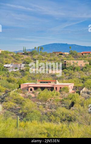 Reiche Nachbarschaft an einem Berghang in Tucson, Arizona. Es gibt große eingezäunte Häuser mit wilden Sträuchern und Kakteen draußen gegen den Blick auf die Berge Stockfoto