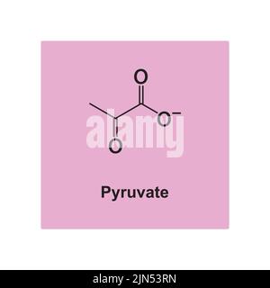 Pyruvat chemische Struktur auf rosa Hintergrund. Stock Vektor