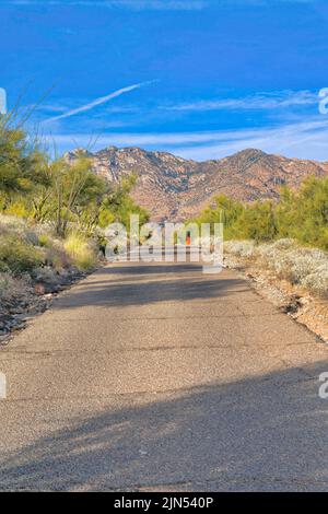 Betonstraße mit Risslinien mitten in der Wildnis gegen den Berg in Tucson, Arizona. Gerade Straße mit wilden Pflanzen und Bäumen auf der si Stockfoto