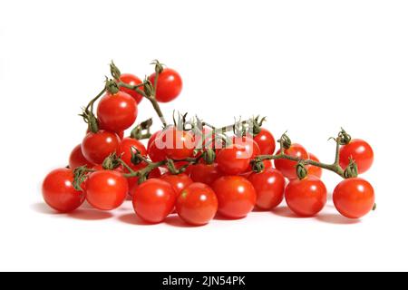 Wild Florida Everglades Kirschtomaten isoliert auf Weiß Stockfoto