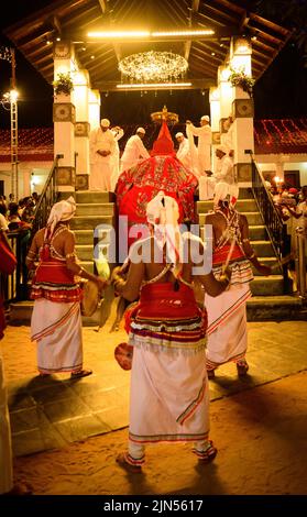 Kataragama, Sri Lanka - 08 06 2022: Tusker Elefant macht sich bereit für die Esela Perahara in Ruhunu maha kataragama dewalaya. Gekleidet und die Ca Stockfoto