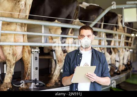 Mann in Maske mit Klemmbrett und Kühe auf Milchviehbetrieb Stockfoto