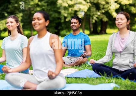 Eine Gruppe von Menschen, die im Sommerpark Yoga machen Stockfoto