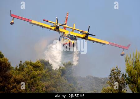 Die kroatische Luftwaffe Canadair CL-415 gibt Wasser frei, während sie einen Brand während eines Waldbrands auf der Halbinsel Peljesec im Süden Kroatiens löscht. Stockfoto