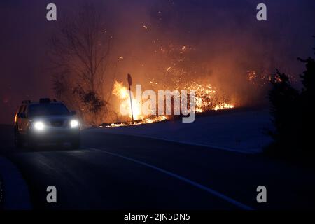 Kroatische Feuerwehrkräfte kontrollieren das Feuer während des Waldbrands auf der Halbinsel Peljesec im südlichen Teil Kroatiens. Stockfoto
