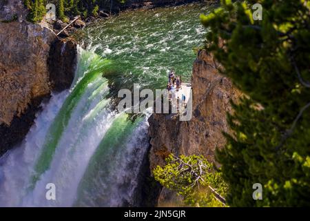 Besucher beobachten, wie der Yellowstone River über den Rand der Lower Falls zum Grund des Grand Canyon des Yellowstone im Yellowstone NP, WY, fließt. Stockfoto