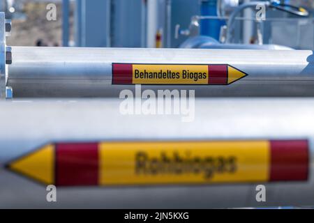 Darchau, Deutschland. 09. August 2022. Pipelines in der, wie der Hersteller behauptet, ersten kompakten Bio-LNG-Anlage auf dem Gelände der Agrarvereinigung Darchau werden als „Rohbiogas“ und „behandeltes Biogas“ bezeichnet. In Zukunft wird die Anlage in der Lage sein, im Inland produzierten grünen Kraftstoff für den schweren Lkw- und Busverkehr bereitzustellen. Die Anlage soll jährlich etwa 1,3 Millionen Liter fossilen Diesel ersetzen und bis zu 7.000 Tonnen CO2 einsparen. Quelle: Jens Büttner/dpa/Alamy Live News Stockfoto