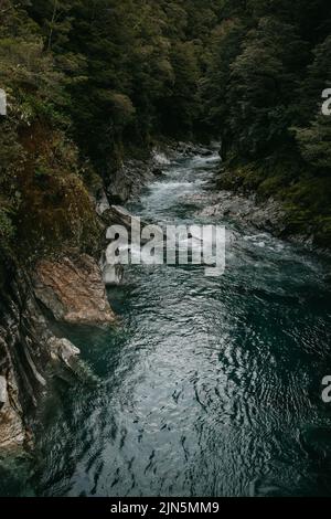 Berühmte Touristenattraktion - Blue Pools, Haast Pass, Neuseeland, Südinsel Stockfoto