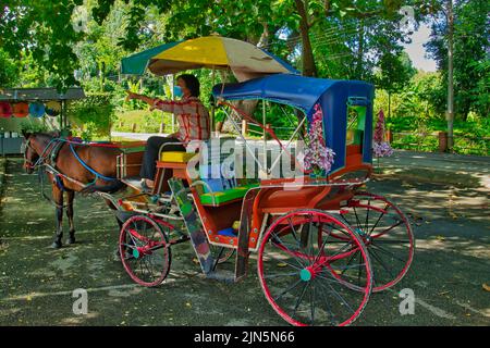 Bunte Pferdekutsche für eine Tour durch die archäologische Stätte Wiang Kum kam, Chiang Mai, Thailand. Stockfoto