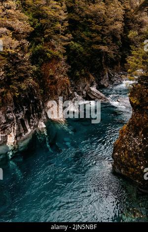 Berühmte Touristenattraktion - Blue Pools, Haast Pass, Neuseeland, Südinsel Stockfoto
