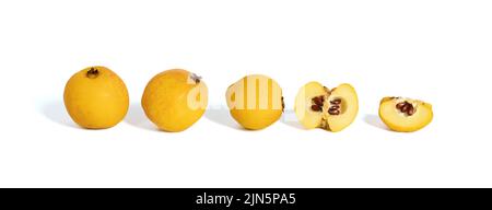 Quitten auf weißem Hintergrund isoliert. In Scheiben geschnittene und ganze frische Quitten aus der Nähe. Obstsammlung. Banner. Stockfoto