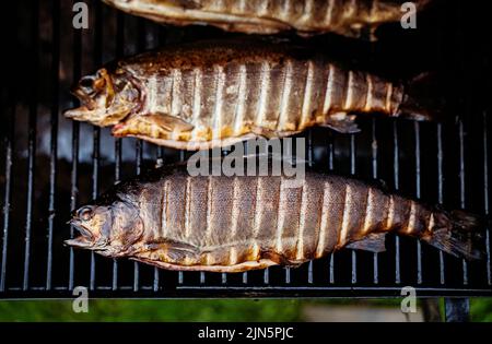 Regenbogenforelle auf Grill bbq geräuchert. Stockfoto