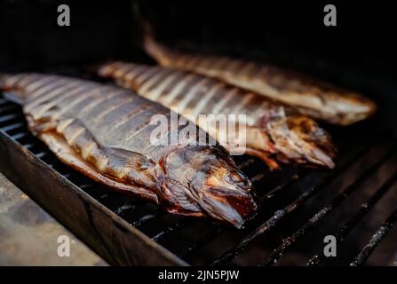 Regenbogenforelle auf Grill bbq geräuchert. Stockfoto