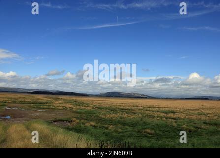 Salt Sumpf Blick in Richtung Milnthorpe Sands von der Nähe Carr Bank Arnside Cumbria England Stockfoto