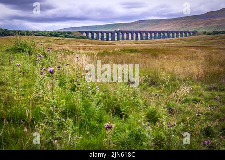 Ribblehead viaduct auf der Linie Setlle nach Carlsile in Yorkshire mit Dampflokomotive British India Line in Richtung Süden. Stockfoto